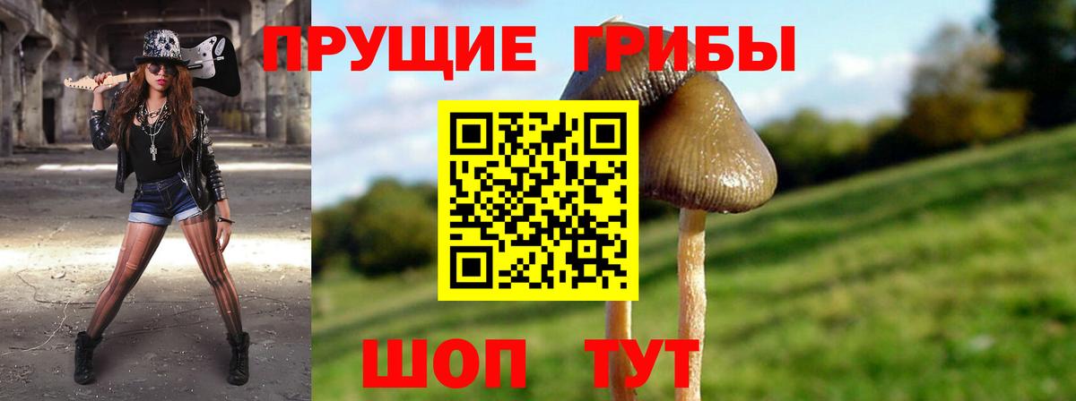 Галлюциногенные грибы Magic Shrooms  Вход с VPN  Медногорск  Галлюциногенные грибы прущие грибы 